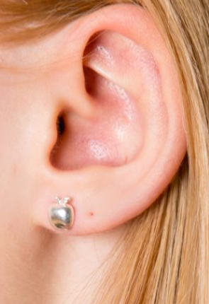 Gemma J Apple Stud Earrings