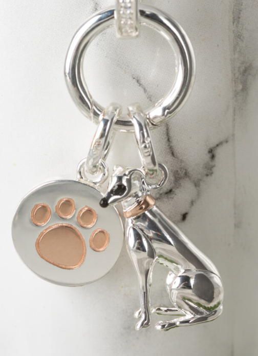 Gemma J Greyhound Silver Charm