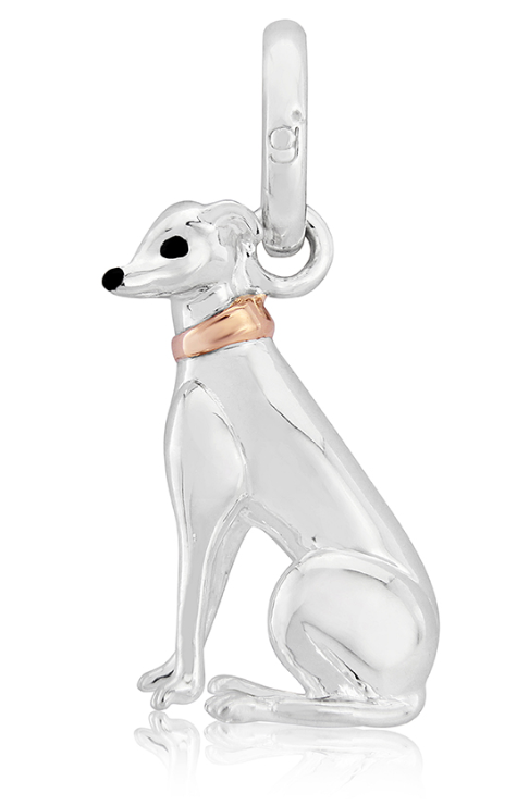 Gemma J Greyhound Silver Charm